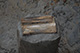 FileNo.171-518.jpg