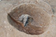FileNo.171-522.jpg