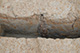 FileNo.171-526.jpg