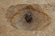 FileNo.171-527.jpg