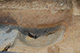 FileNo.171-531.jpg