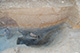 FileNo.171-532.jpg