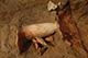 FileNo.171-544.jpg