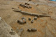 FileNo.171-556.jpg