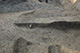 FileNo.171-566.jpg