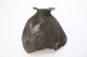 FileNo.172-026.jpg