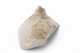 FileNo.172-085.jpg