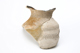 FileNo.172-095.jpg