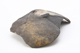 FileNo.172-101.jpg