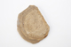 FileNo.172-131.jpg