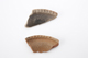 FileNo.172-144.jpg