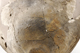 FileNo.172-158.jpg