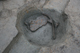 FileNo.172-172.jpg