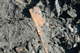 FileNo.172-180.jpg