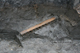 FileNo.172-181.jpg