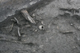 FileNo.172-191.jpg