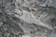FileNo.172-199.jpg