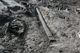FileNo.172-200.jpg