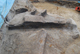 FileNo.172-217.jpg