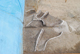 FileNo.172-218.jpg