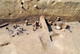 FileNo.172-236.jpg