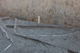 FileNo.172-248.jpg