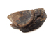 FileNo.172-299.jpg