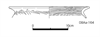 図版 08Aa-164.png