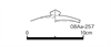 図版 08Aa-257.png