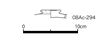 図版 08Ac-294.png
