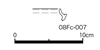 図版 08Fc-007.png