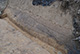 FileNo.171-006.jpg