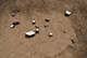 FileNo.171-015.jpg