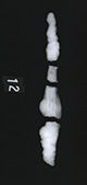 FileNo.171-017.jpg