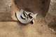 FileNo.171-053.jpg
