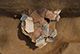 FileNo.171-054.jpg
