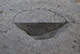 FileNo.171-064.jpg