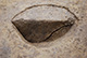 FileNo.171-065.jpg