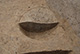 FileNo.171-082.jpg