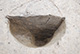 FileNo.171-084.jpg