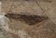 FileNo.171-088.jpg