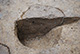 FileNo.171-093.jpg