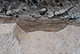 FileNo.171-096.jpg