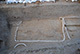 FileNo.171-110.jpg