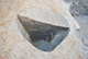 FileNo.171-121.jpg