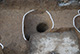 FileNo.171-137.jpg