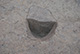 FileNo.171-140.jpg