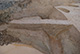 FileNo.171-147.jpg