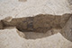 FileNo.171-151.jpg
