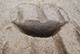 FileNo.171-152.jpg